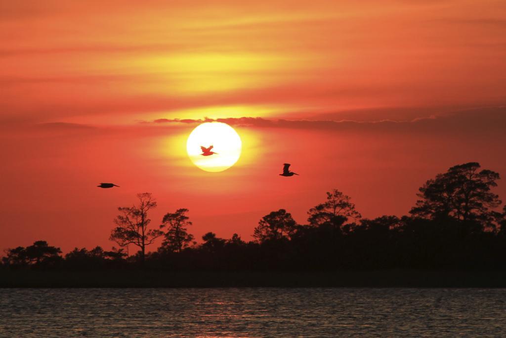Hotel Tybee Tybee Island Εξωτερικό φωτογραφία